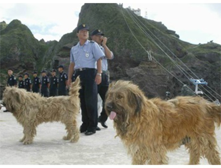 2세대 - 곰이, 몽이