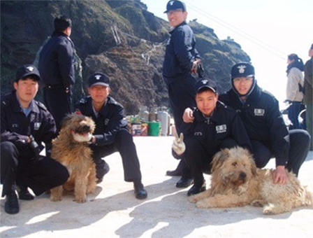 2세대 - 곰이, 몽이