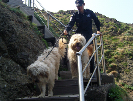 3세대 – 독도, 지킴이