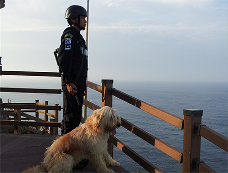 4세대 - 수호, 천사