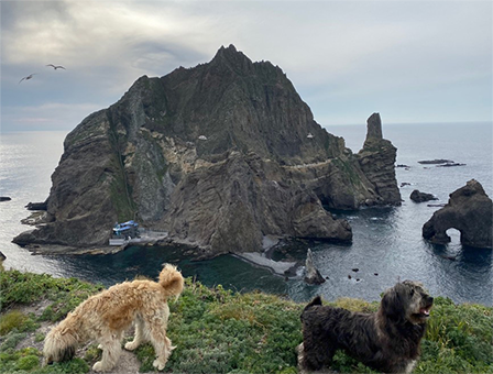 7세대 – 동순이, 서돌이