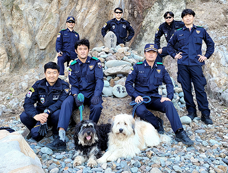 8세대 – 동해, 바다