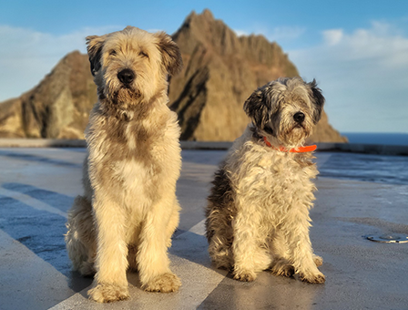 8세대 – 동해, 바다