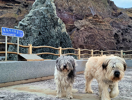 8세대 – 동해, 바다