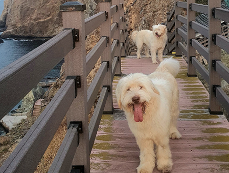 8세대 – 동해, 바다