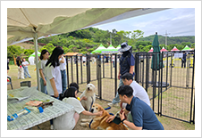 제10회 진도개 페스티벌 부스 운영2