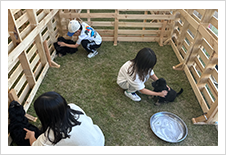 경주 반려견 페스티벌2