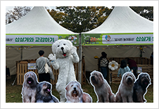 경산 반려문화축제2