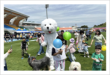 제21회 경산 어린이날 큰잔치1