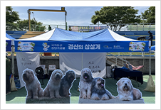 제21회 경산 어린이날 큰잔치2