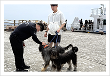 11대 독도지킴이견 '설국', '은주' 입도