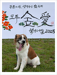웰니스서울 2025