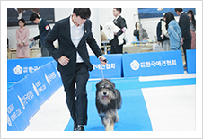 2026 KKC Dog Show